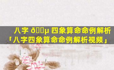 八字 🌵 四象算命命例解析「八字四象算命命例解析视频」